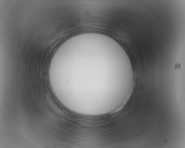 X0000113210174200909100955