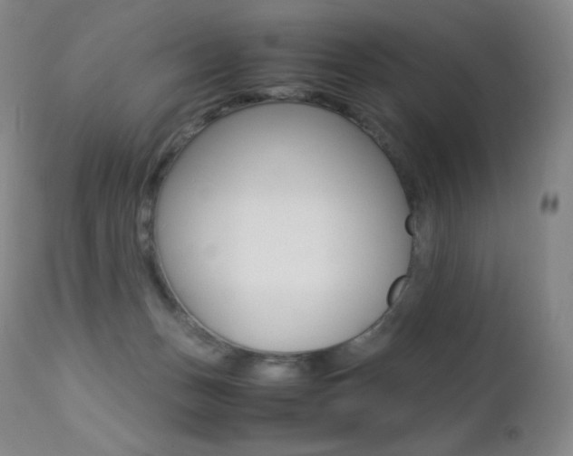 X0000113210175200909100955