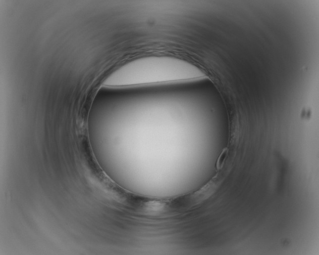 X0000113210176200909100955
