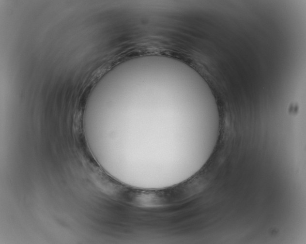 X0000113210177200909100955