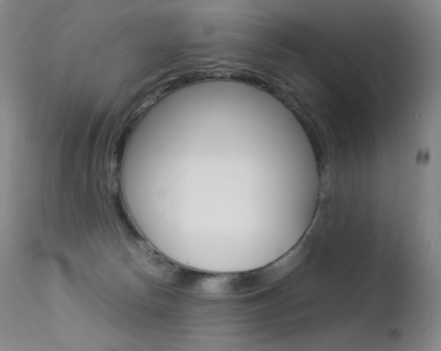 X0000113210178200909100955