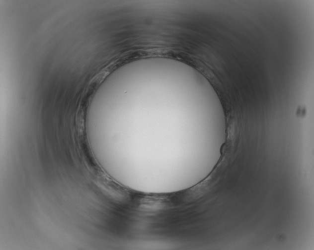 X0000113210179200909100955