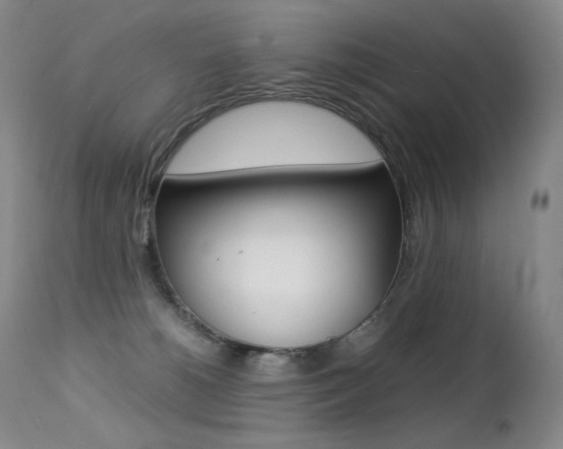 X0000113210180200909100955