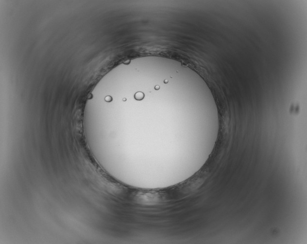 X0000113210181200909100955