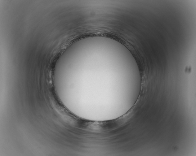 X0000113210182200909100955