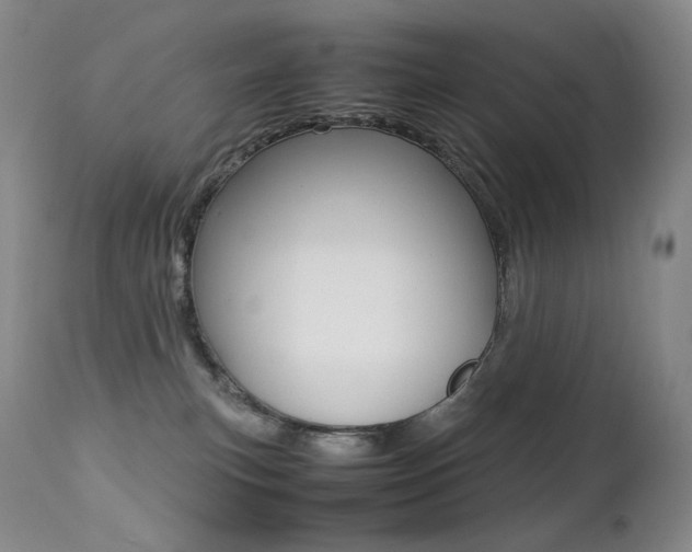 X0000113210183200909100955