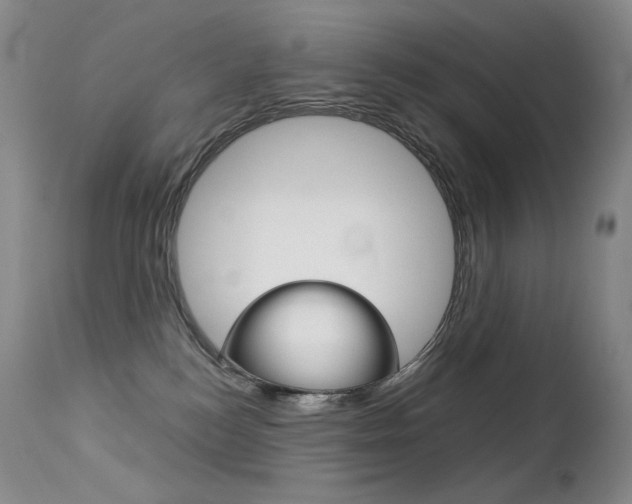 X0000113210184200909100956
