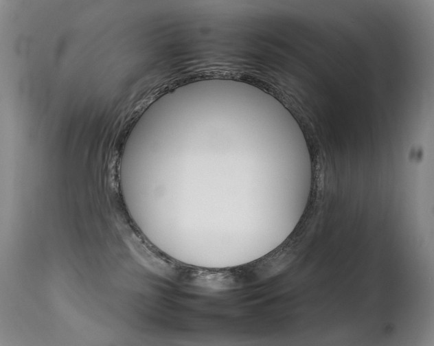 X0000113210185200909100956