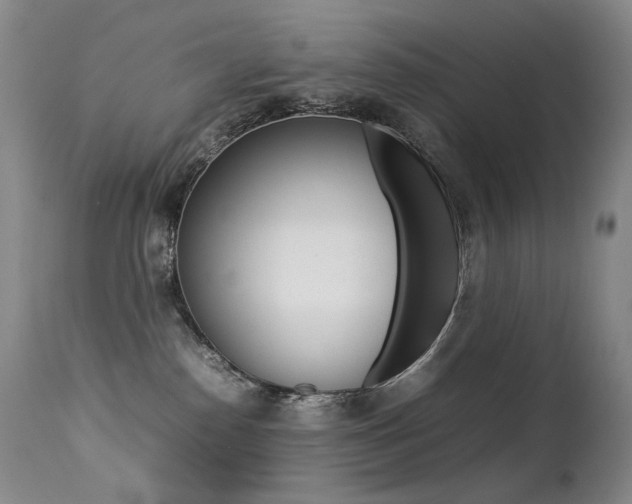 X0000113210186200909100956