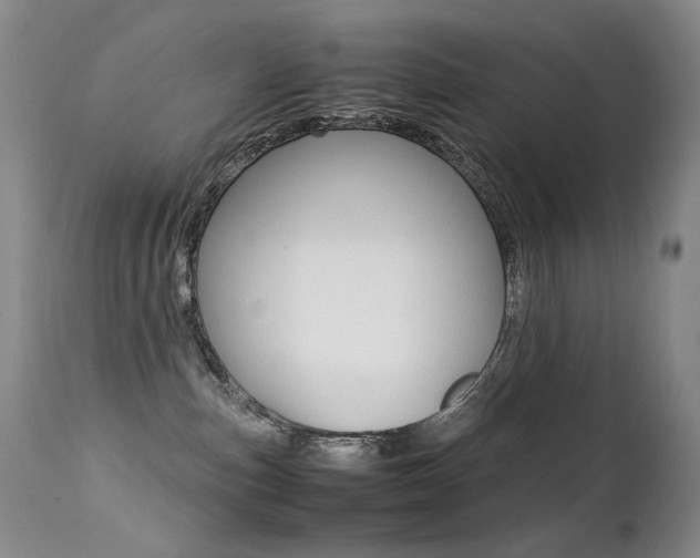 X0000113210187200909100956