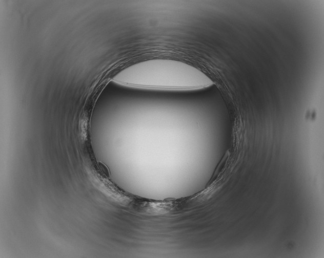 X0000113210188200909100956