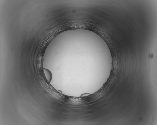 X0000113210189200909100956