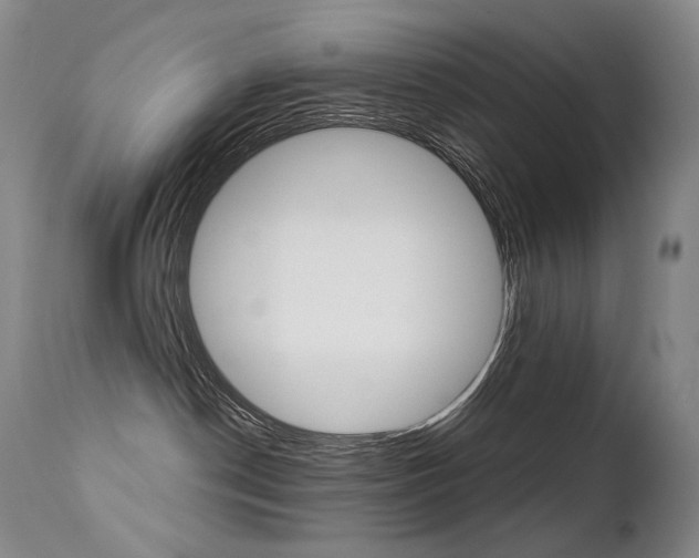 X0000113210190200909100956