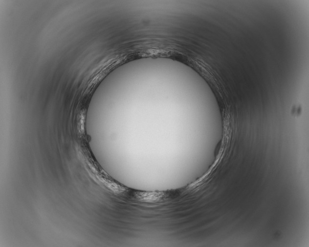 X0000113210191200909100956
