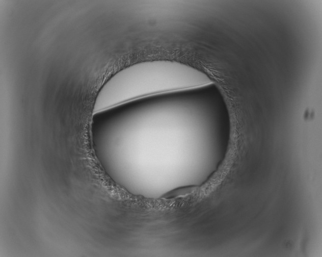 X0000113210192200909100956