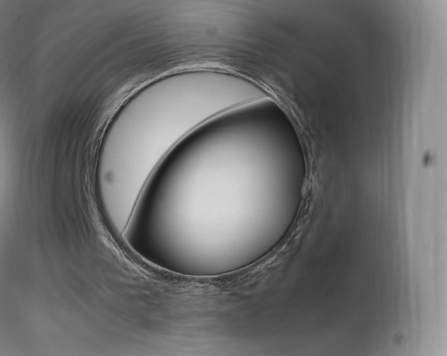 X0000113210193200909100955