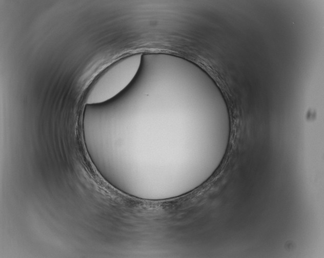 X0000113210194200909100955