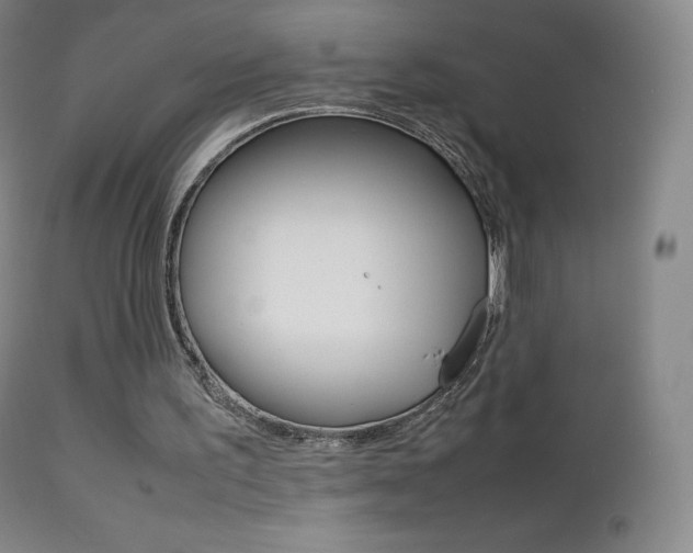 X0000113210195200909100955