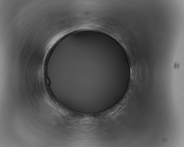 X0000113210196200909100955