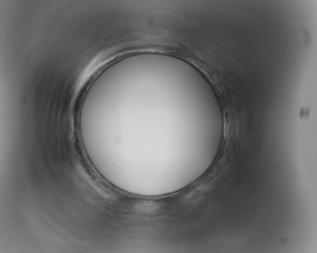 X0000113210198200909100955