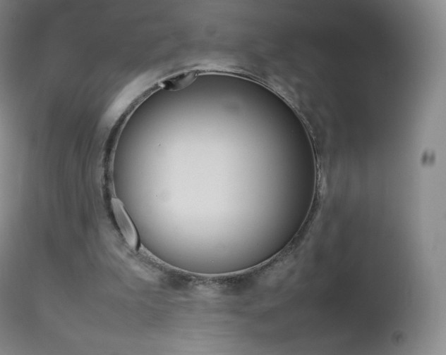 X0000113210199200909100955