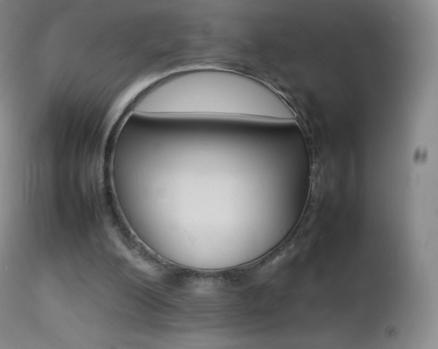 X0000113210200200909100955