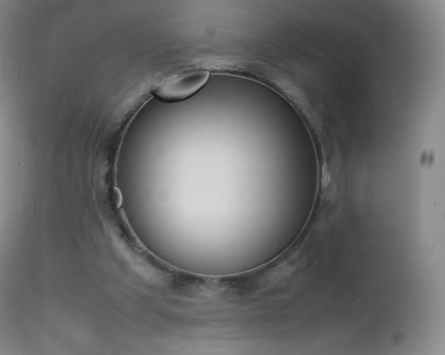X0000113210201200909100955