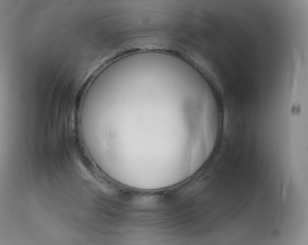 X0000113210202200909100955