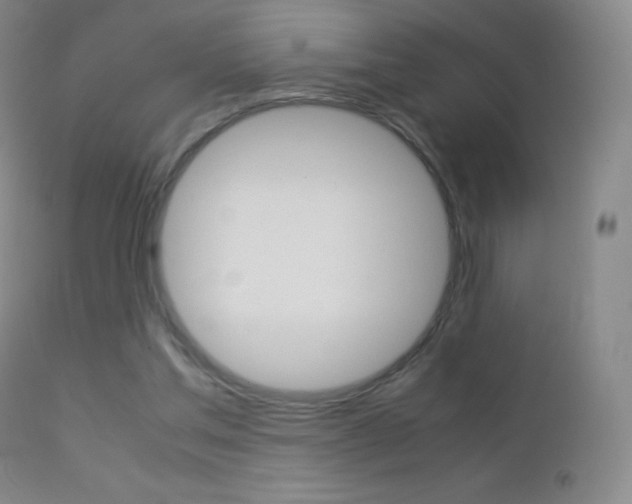 X0000113210205200909100955