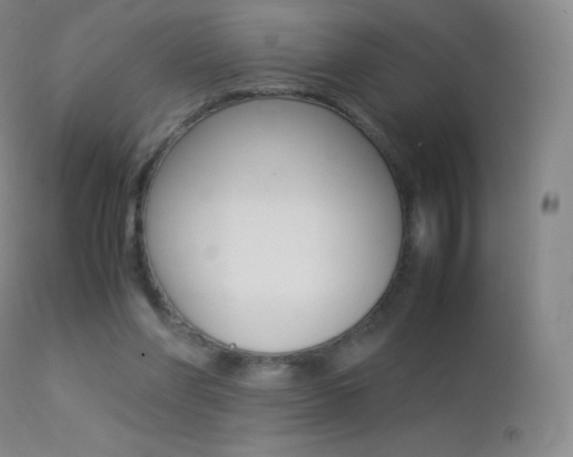 X0000113210206200909100955