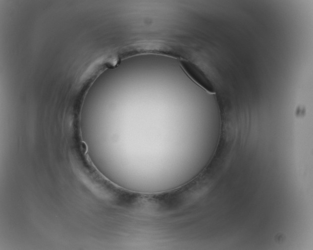 X0000113210207200909100955
