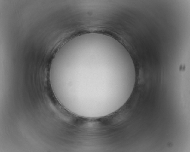 X0000113210210200909100955