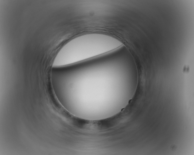 X0000113210211200909100955