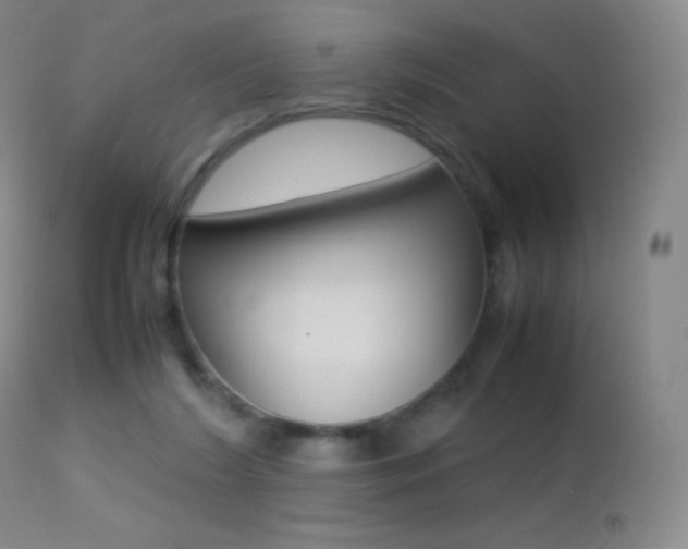 X0000113210212200909100955