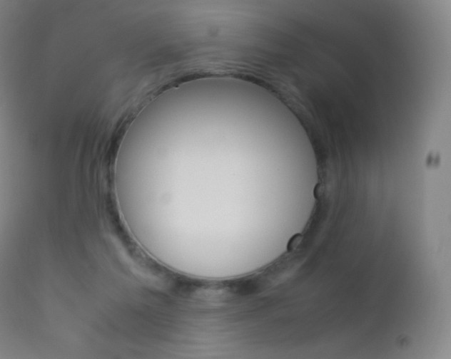X0000113210213200909100955