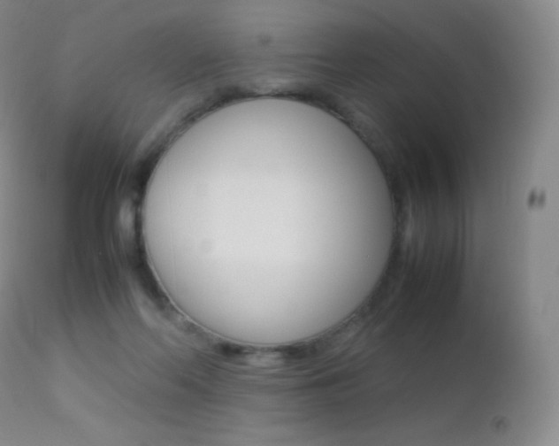 X0000113210214200909100955