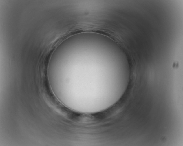 X0000113210215200909100955