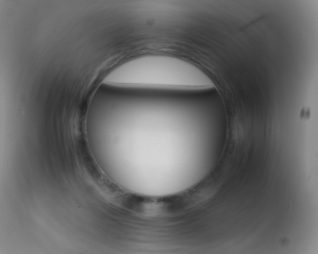 X0000113210216200909100955