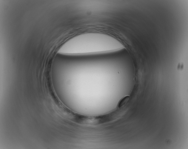 X0000113210217200909100955