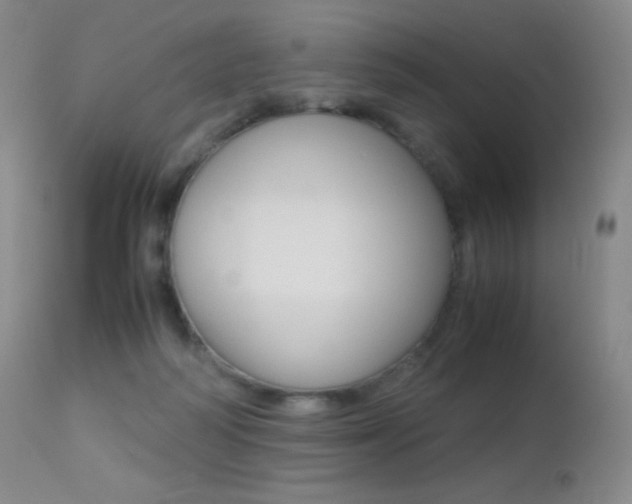 X0000113210218200909100955