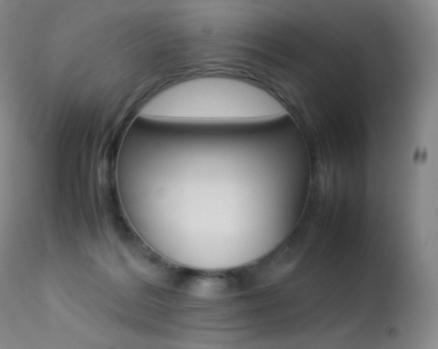 X0000113210220200909100955