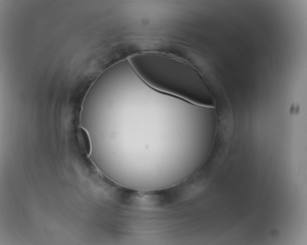 X0000113210221200909100955