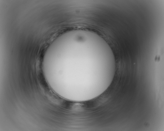 X0000113210222200909100955