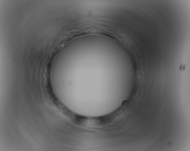 X0000113210223200909100955