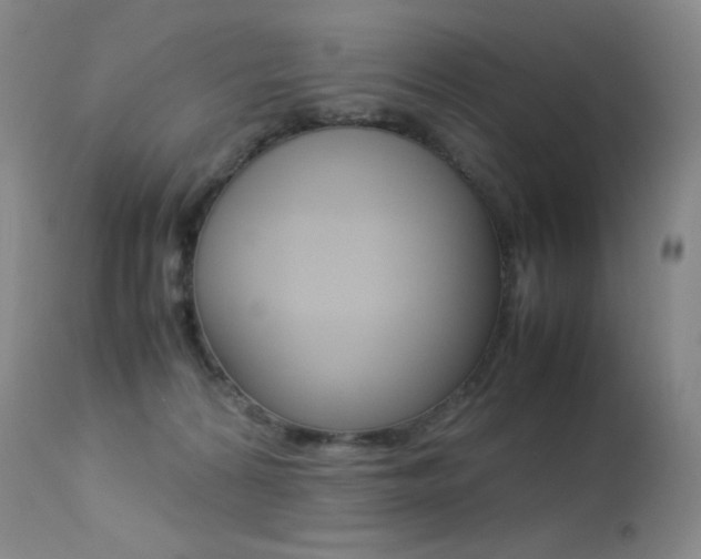 X0000113210224200909100955