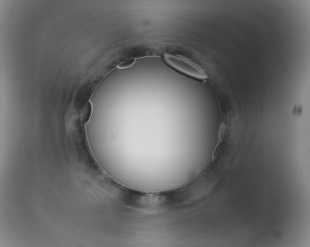 X0000113210225200909100955