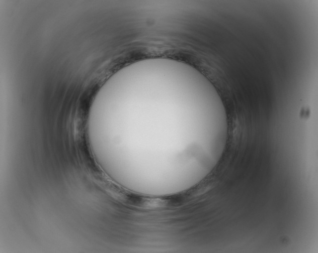 X0000113210226200909100955