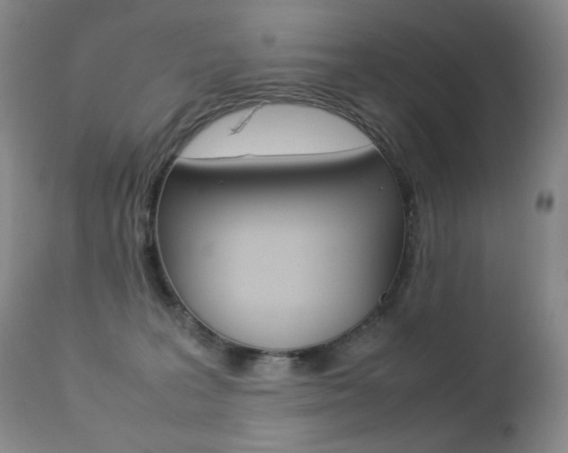 X0000113210227200909100954