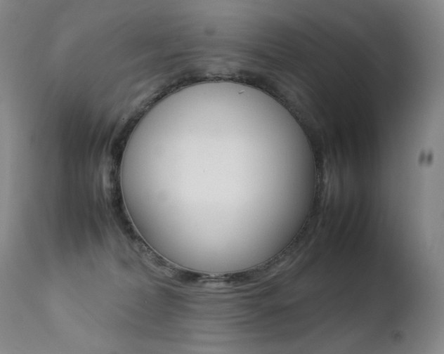X0000113210228200909100954