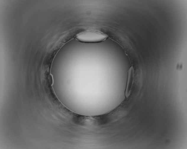 X0000113210229200909100954